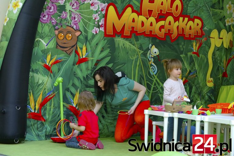 Siódme urodziny Galerii Świdnickiej w klimacie Madagaskaru [FOTO]