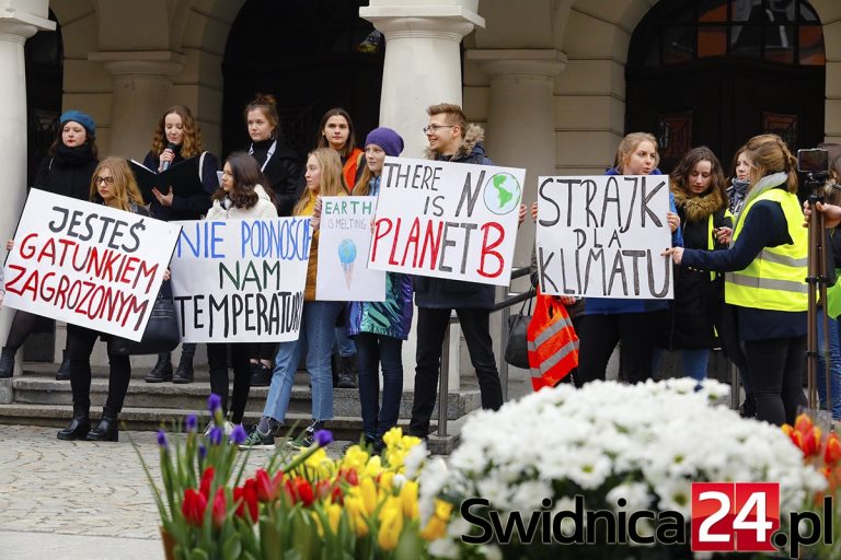 Ponownie zastrajkują w obronie klimatu. „Dosyć słów, teraz czyny!”