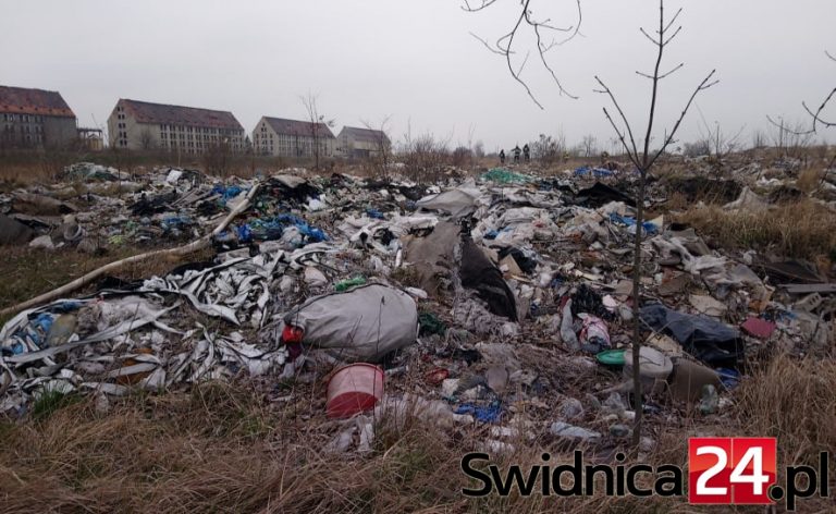 Ponad 36 tysięcy ton odpadów. Co dalej z nielegalnym wysypiskiem przy Kopernika?