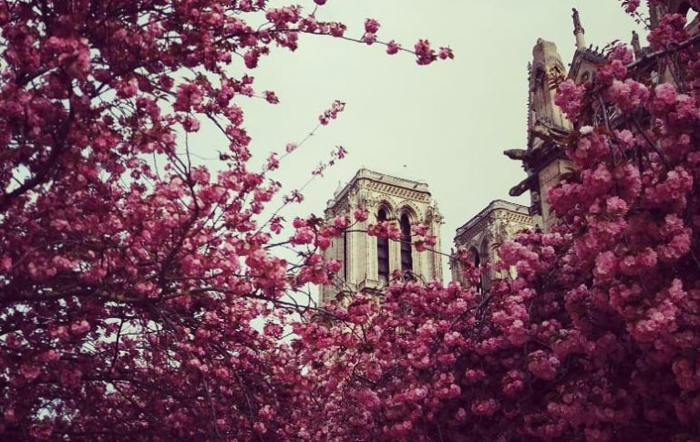 Fotogaleria czytelników: Od Grenlandii po katedrę Notre Dame w Paryżu