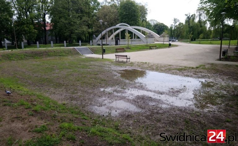 Dorzucili kolejne pieniądze do utrzymania Parku Centralnego [FOTO]