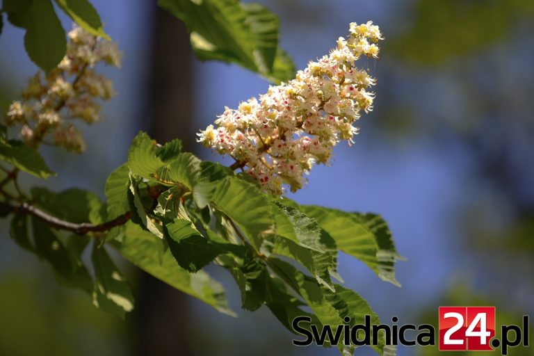 Maturalny maraton czas zacząć!