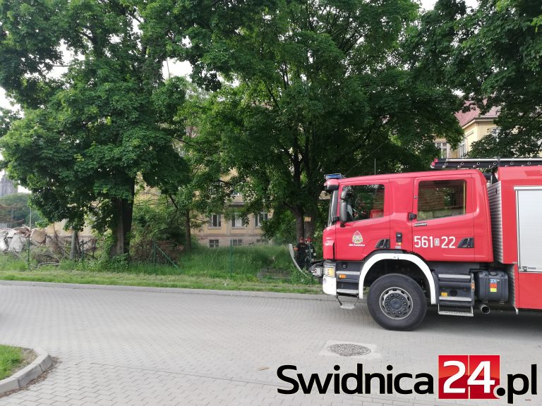 Gasili pożar śmieci w nieczynnym szpitalu [FOTO]
