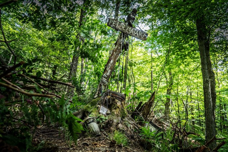 Co grają w kinie? [REPERTUAR CINEMA3D]