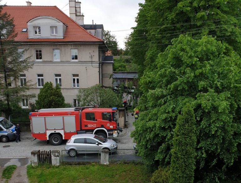 Powalone drzewa i stany ostrzegawcze na rzekach. Służby podsumowują minioną dobę
