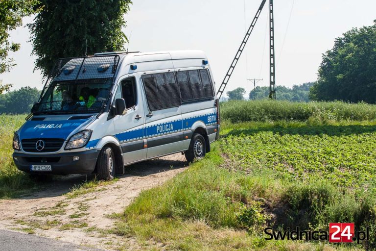 Mieszkańcy Mrowin zszokowani zabójstwem dziewczynki. Służby proszą o pomoc kierowców z wideorejestratorami