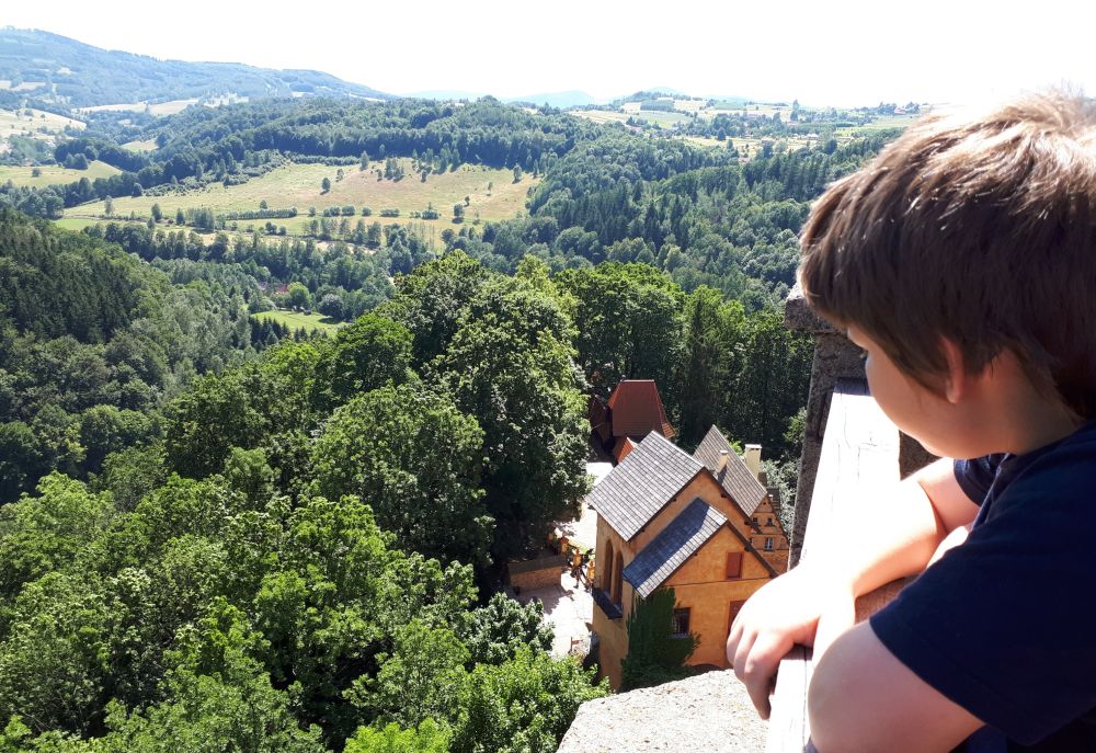 Zamek Grodno w Zagórzu Śląskim, fot. Beata Taraszkiewicz, 30.06.2019r.