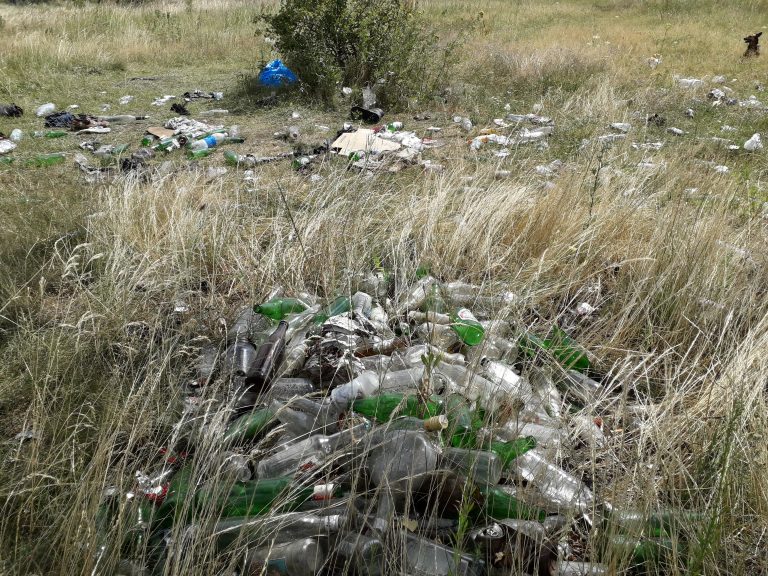Śmietnisko na popularnych „morwach”. Tylko w części miejskiej