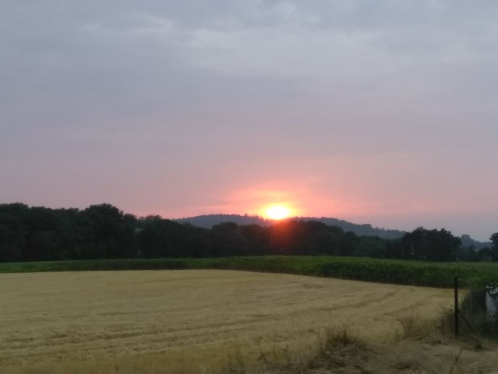 Zachód słońca za Gęsimi Górkami w okolicach Rogoźnicy, fot. Magdalena Seregin, 31.07.2019