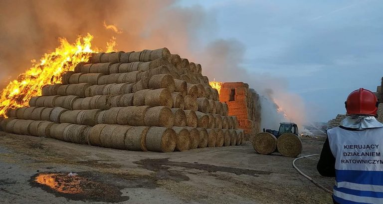 Ogromny pożar w Jordanowie Śląskim. Wsparcia udzielają strażacy ze Świdnicy [FOTO]
