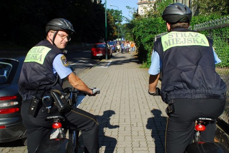 Powalone drzewo i podpalacz, który podpalił się sam. Interwencje straży miejskiej