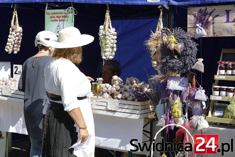 Targi zdrowej żywności i festiwal piwa wystartowały! [PROGRAM]