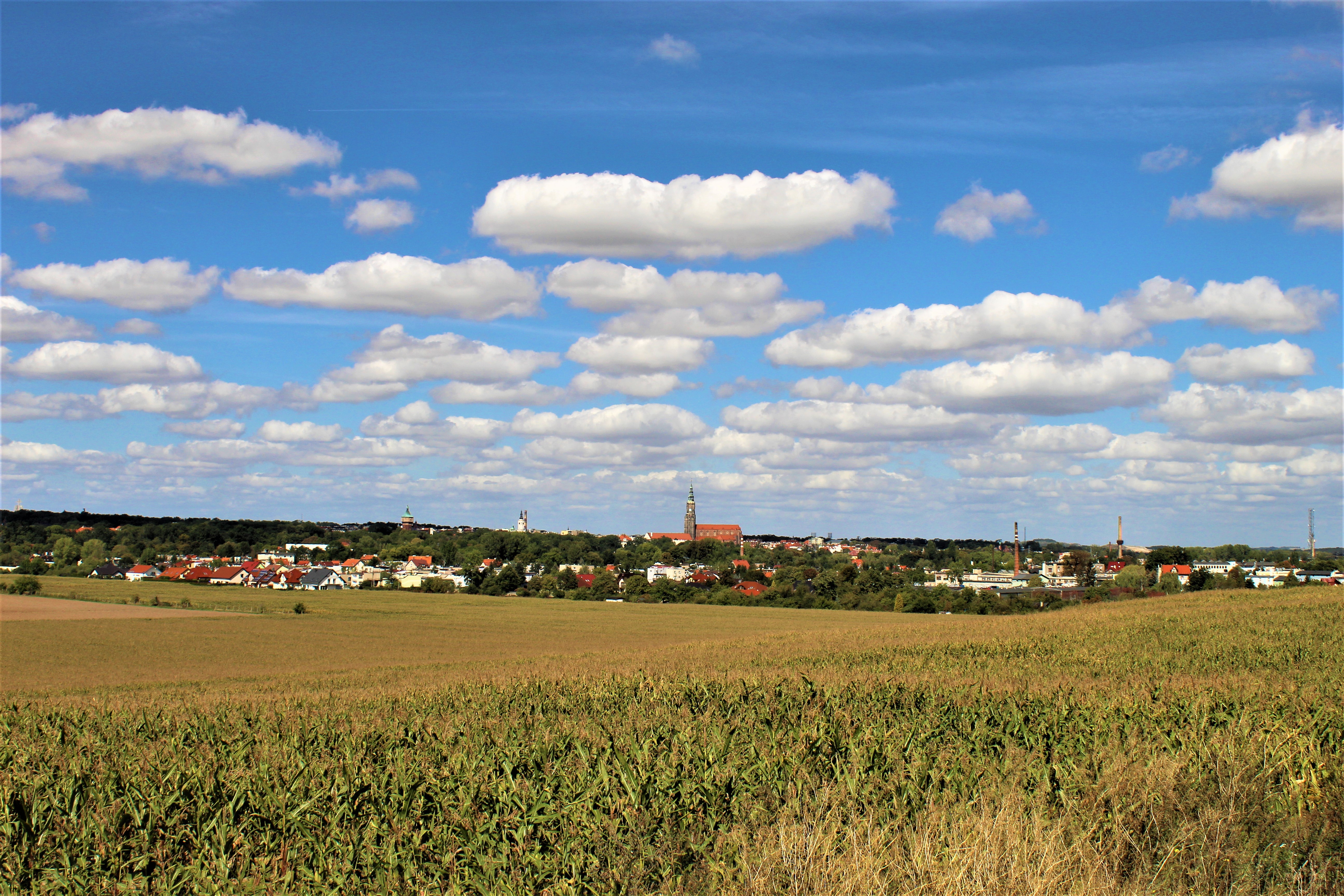 Panorama Świdnicy, fot. Leszek Krawiec