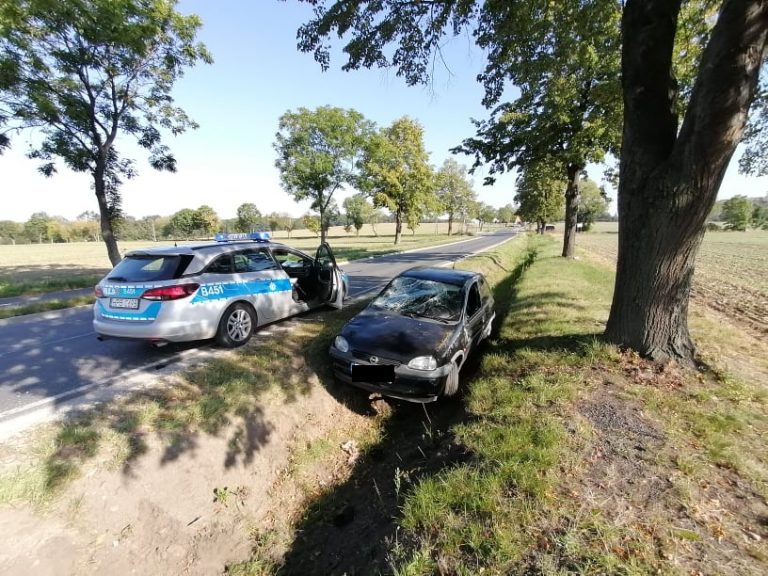 Podróż skończyła w rowie