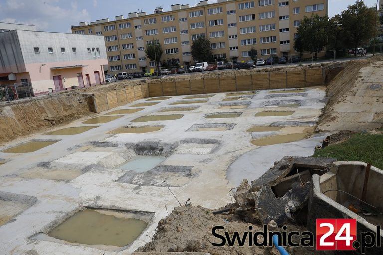 Domos wyburzony, dziura wykopana. Co z budową nowego budynku?