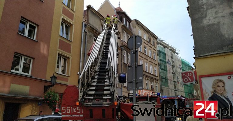 Wezwanie do gniazda pszczół