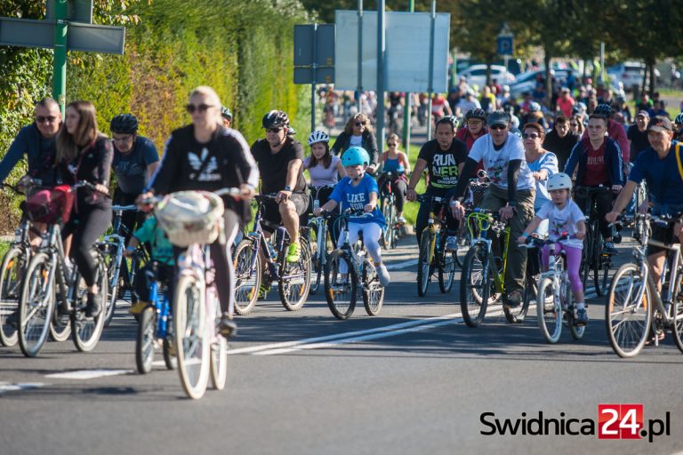 Powstanie „Cyklostrada Dolnośląska”? Nowe trasy rowerowe mają połączyć Świdnicę z Wrocławiem i Sudetami