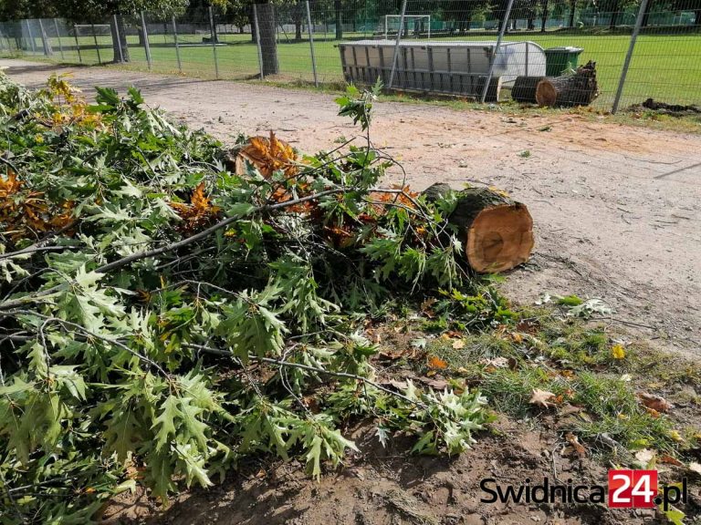 Wichura nad regionem. Połamane drzewa, zablokowane drogi [FOTO]