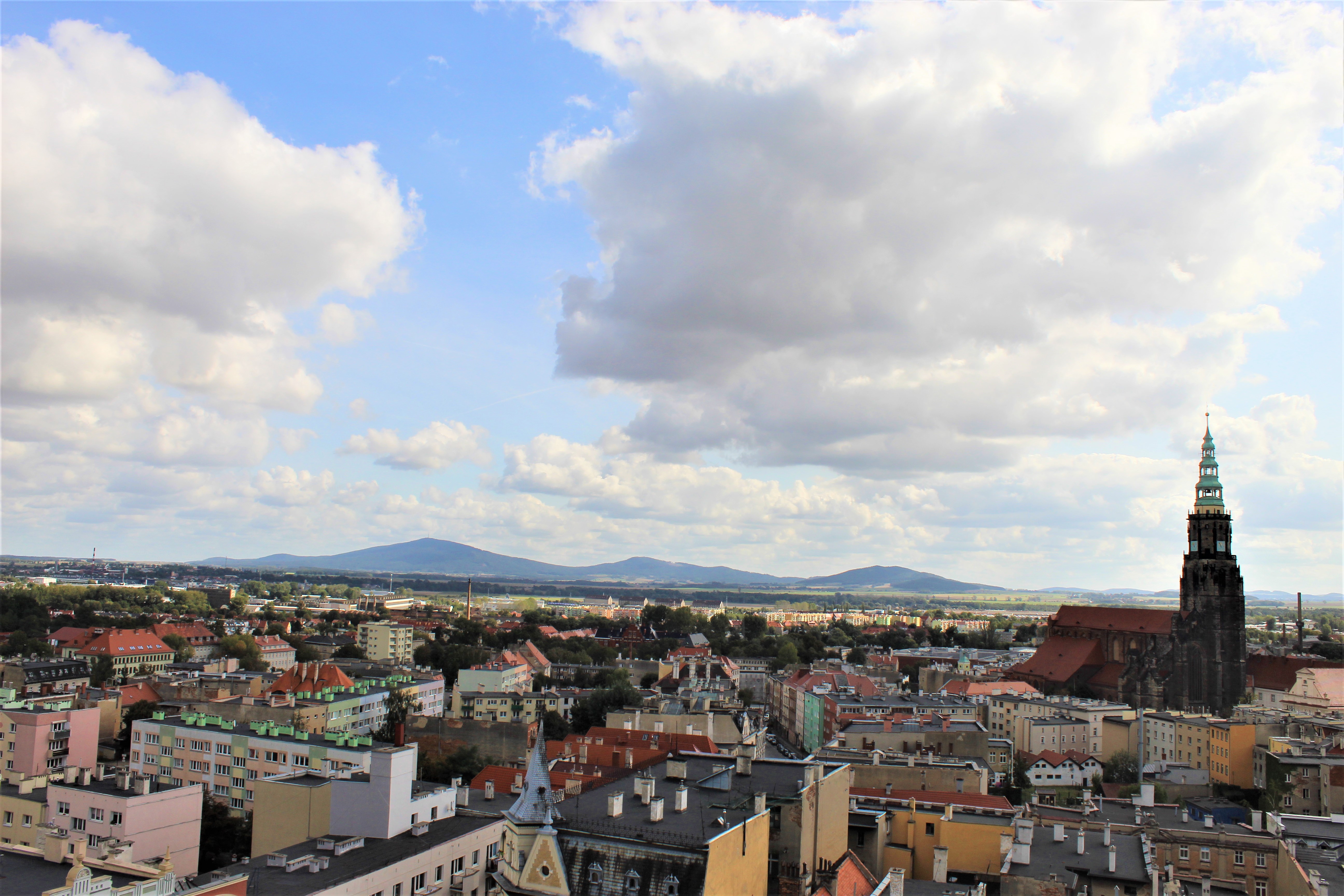 Świdnica, widok z katedrą. Fot. Leszek Krawiec