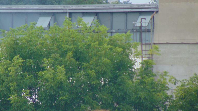 Świdnicki Adler dalej zatruwa życie okolicznym mieszkańcom