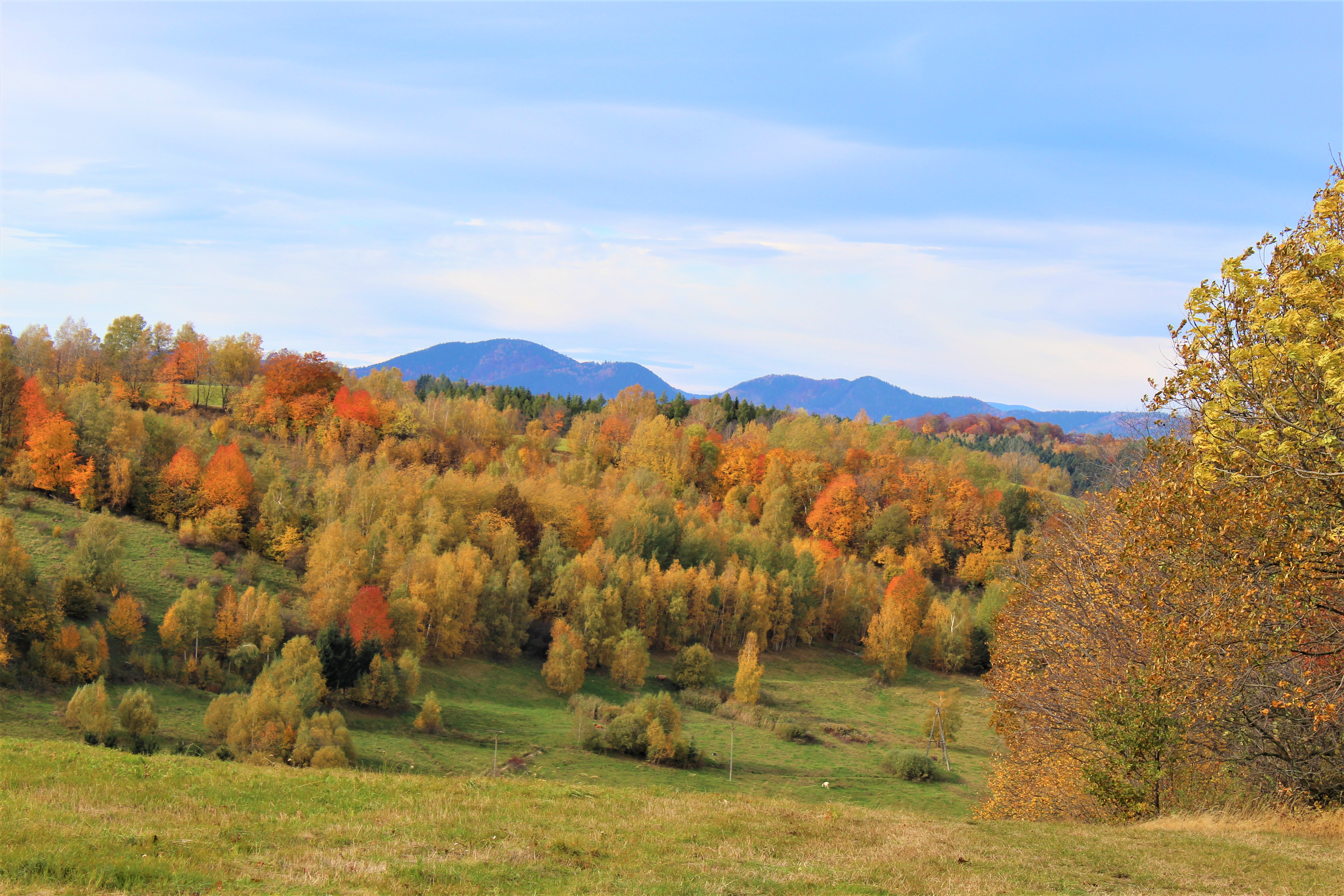 Góry Sowie, fot. Leszek Krawiec