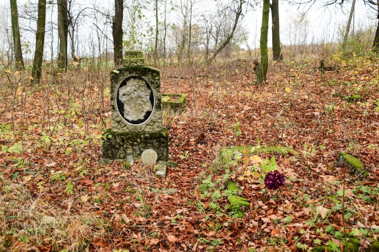 Osadzeni i leśnicy uprzątnęli zapomniany cmentarz w Modliszowie [FOTO]