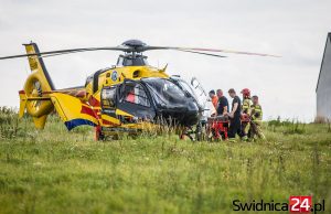 Byk przygniótł pracownika