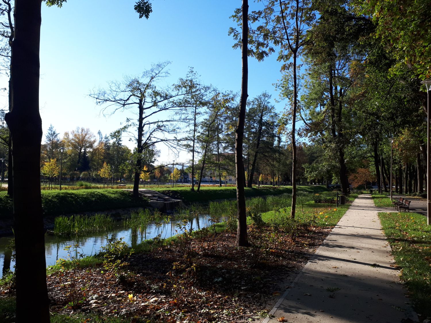 Park Centralny, 12 października 2019, fot. Weronika Rękawiecka