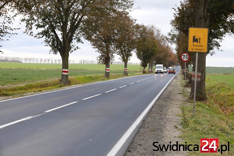 Ponad 130 drzew do wycinki [FOTO]