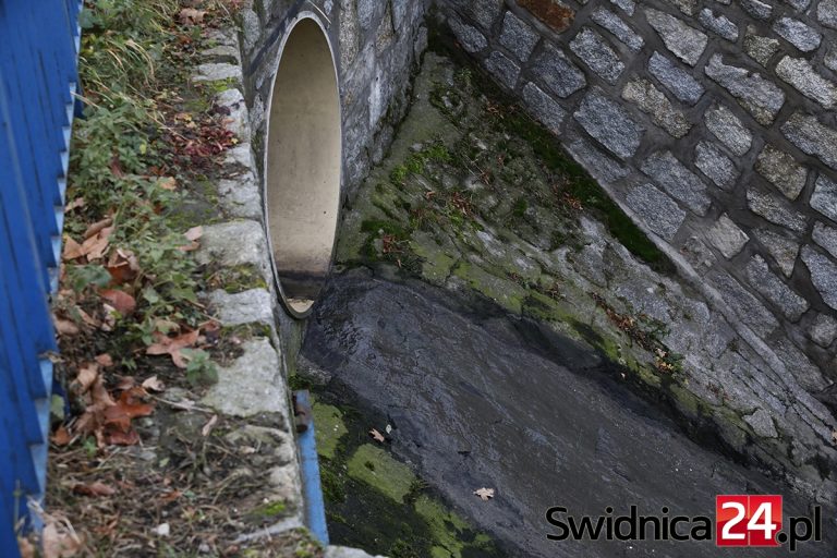 Ścieki znów płyną potokiem koło centrum handlowego w Świdnicy [FOTO]