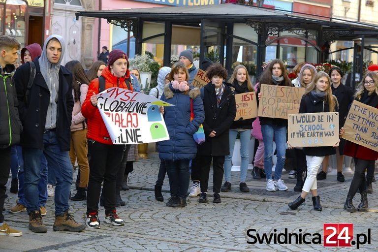 Zastrajkowali w obronie klimatu. W tle spór o wycinkę drzew [FOTO/VIDEO]