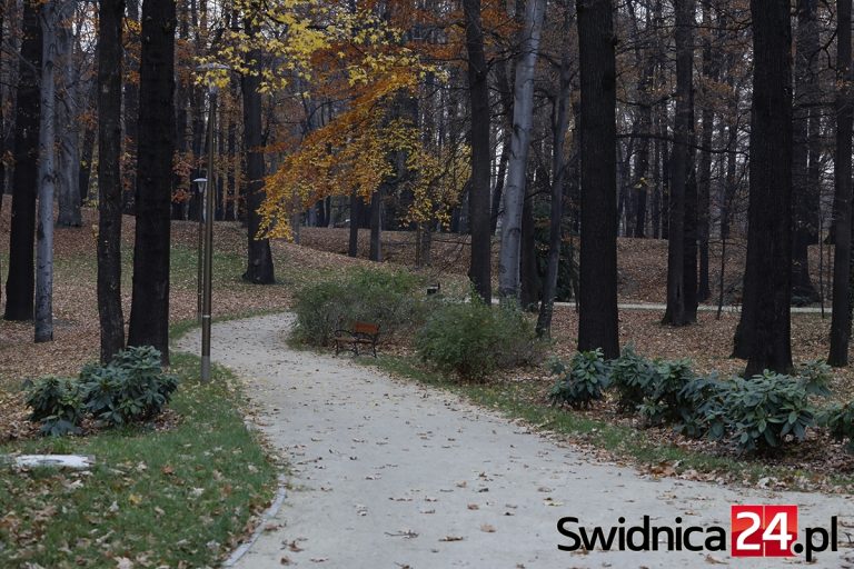 Ścieżki w parku Sikorskiego do poprawki [FOTO]