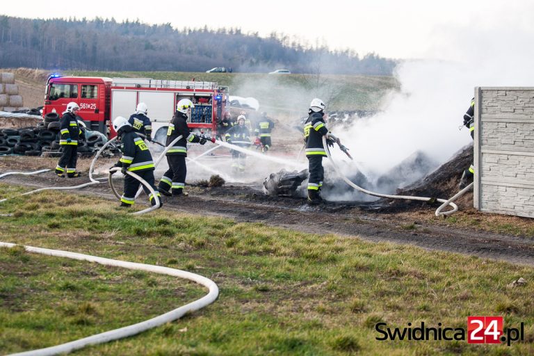 Pożar w Bojanicach. Słup dymu był widoczny ze Świdnicy [FOTO]