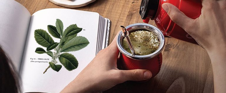 Jakie są właściwości zdrowotne yerba mate?