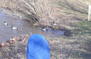 Nad Zalewem Witoszówka, 9 luty 2020, fot. Ewelina Krzysztof