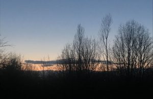 Pszenno,12 luty 2020, fot. Katarzyna Michta