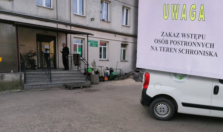 Pracownicy schronisk dla bezdomnych grożą odejściem z pracy. Pilnie potrzebne maseczki!