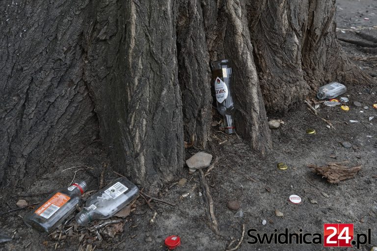 Śmietnisko po libacjach przy ścieżce rowerowej [FOTO]