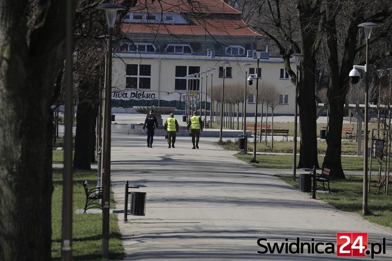 Kar dla działkowców nie ma. Patrole proszą i apelują