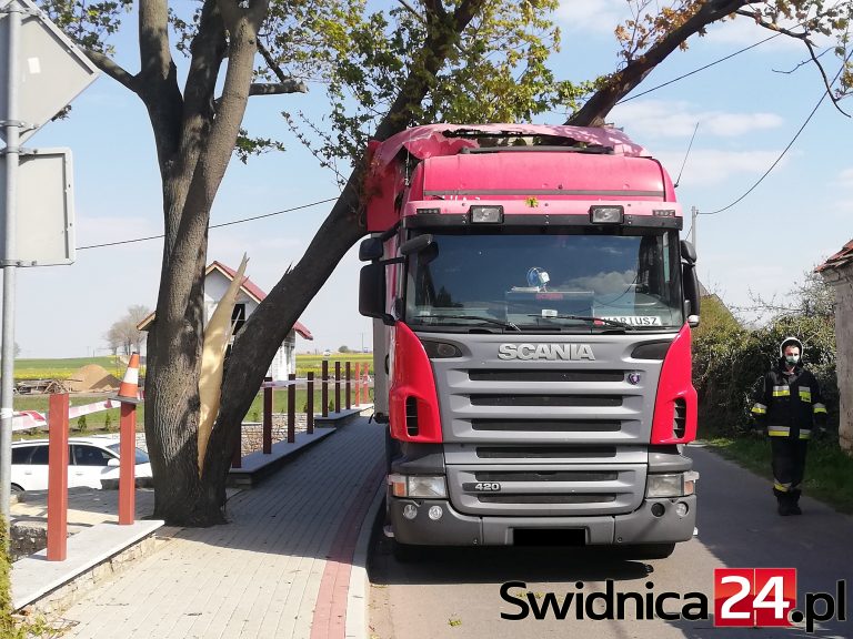 Drzewo spadło na ciężarówkę
