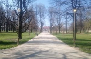 Oświetlenie w Parku Centralnym także za dnia