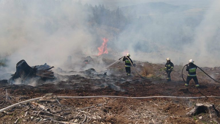 Pożar lasu w okolicy przełęczy Tąpadła [FOTO]