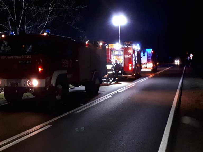 Pożar lasu w Starym Jaworowie