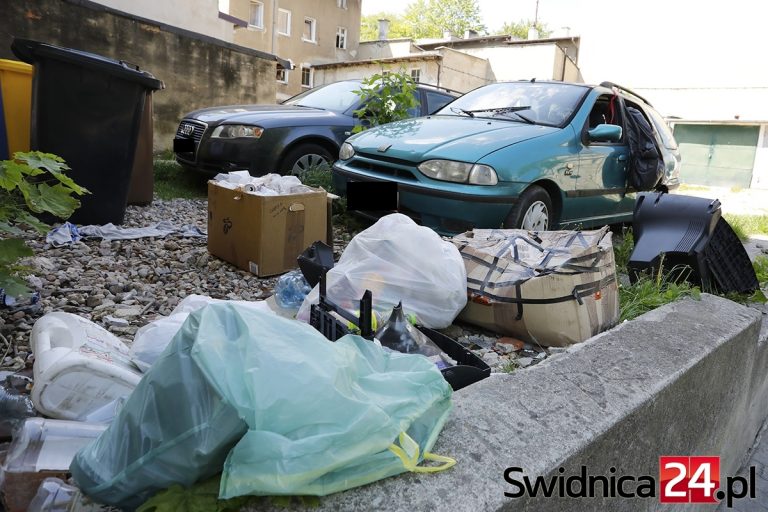 Po lewej Ogród Różany, po prawej wrak i śmietnisko [FOTO]
