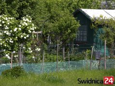 Policja ostrzega działkowców przed złodziejami