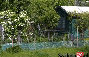 Policja ostrzega działkowców przed złodziejami