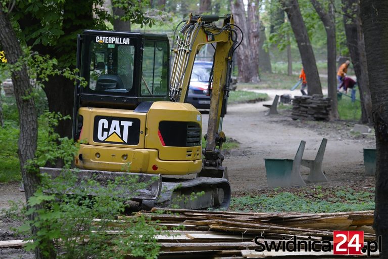 Trwają prace w Parku Młodzieżowym. Arborysta: widać dobre chęci, niestety brakuje dopracowania [FOTO]