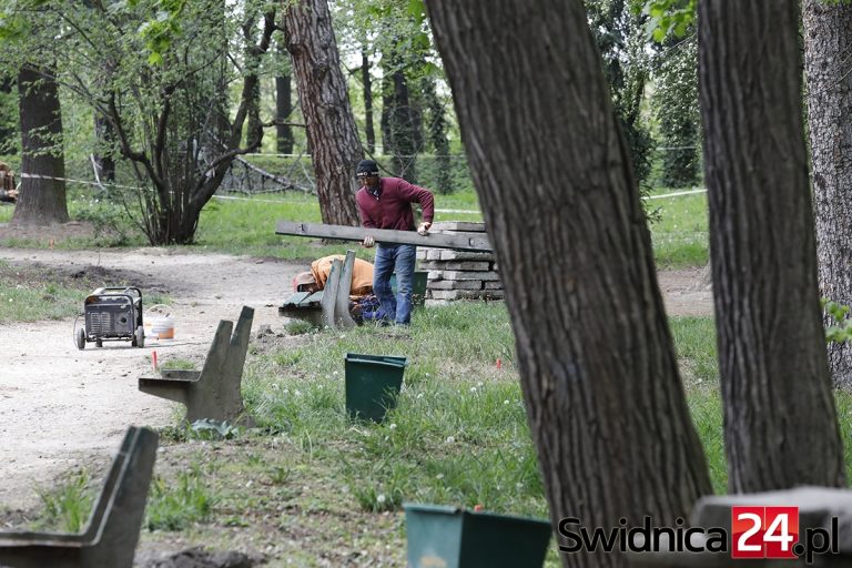 Miasto pyta mieszkańców o rewitalizację Parku Młodzieżowego. Tak powinno być od początku – mówią społecznicy