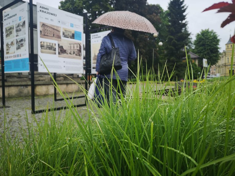 Żarów. Przedwojenne widoki