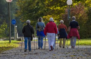 Świdnica na trasie Festiwalu Nordic Walking 2026